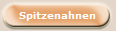 Spitzenahnen